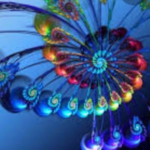 Meet your Posher, Paula